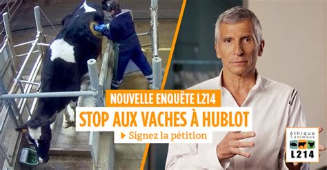 petition hublot vache|[VIDÉO] Stop aux vaches à hublot .